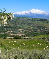Sicily family trip photo